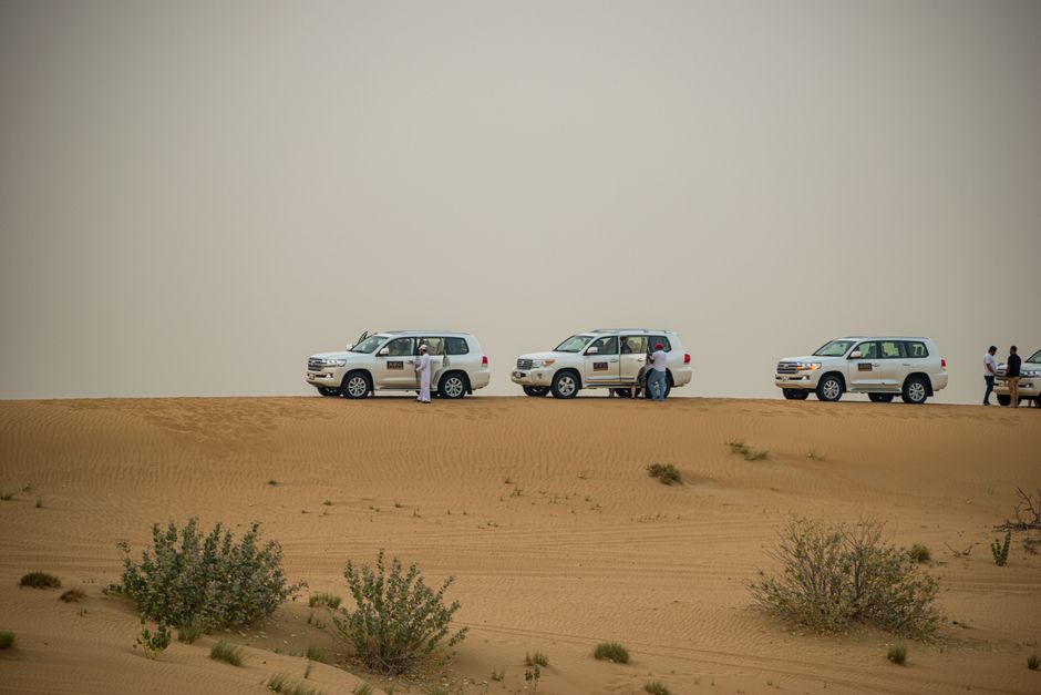 Desert safari in Dubai